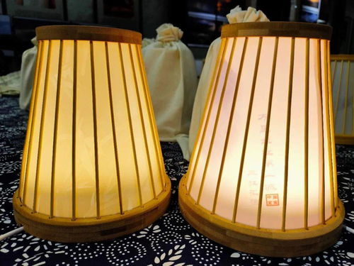 宜賓造智能竹燈發布 科技文創產品新玩法，燈具塑件引領未來